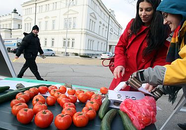 До 300 лв., за да проверим за ГМО