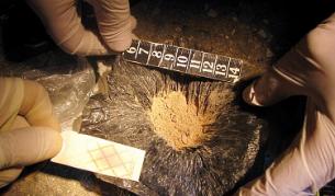 У редник Ждрапански са намерени около 0,5 кг хероин