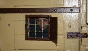 Днешната присъда срещу Елена Банкова е първото ефективно наказание след нападение от животни