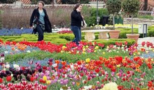 Ботаническата градина в Балчик