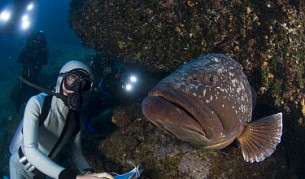 Експедиция: Има надежда за Средиземно море