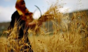 Русия спира да изнася зърно