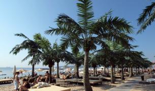 Засушаване и затопляне през този век в България