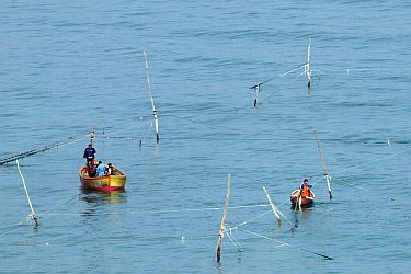 Рекордните градуси на морската вода намаляват улова на риба