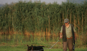 Ловният сезон на пернат дивеч бе открит днес и край софийското село Челопечене