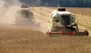 Балансът на зърното тази година е традиционния