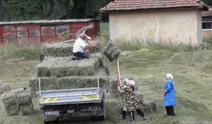Планината осигурява препитание на жителите на с. Аврамово, община Якоруда, селото с най-голяма надморска височина и безработица в страната