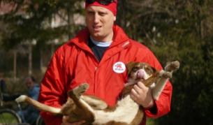 Днес е Световният ден за защита на животните