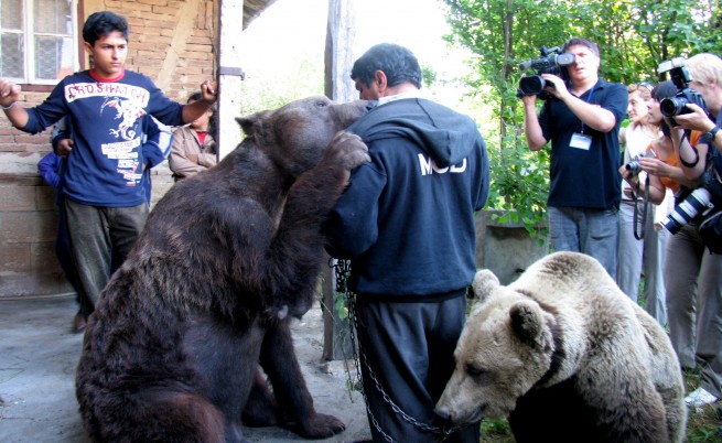10 години дом за танцуващите мечки