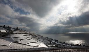 "Мениджър": След ледената епоха