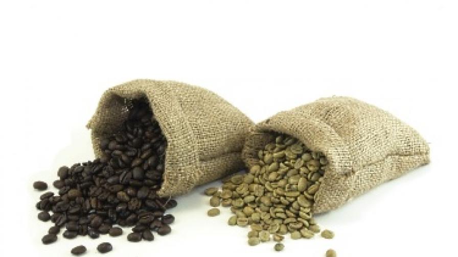 Знаете ли всичко за зелените (неизпечени) зърна кафе?