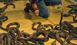 Жена без никакъв страх, хм...