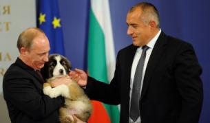 В София кучетата са част от дипломацията