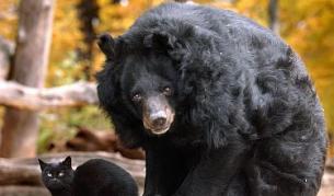 Ще летим в Космоса в зимен сън