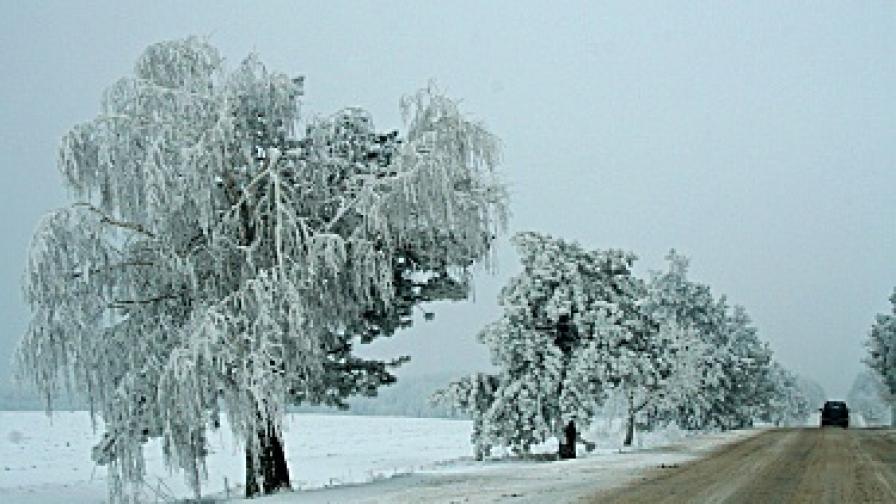Трима загинаха при катастрофи