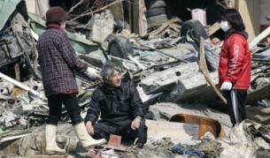 Как ние бихме реагирали на криза като японската