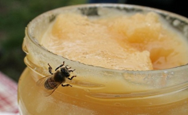 20% от пчелите у нас измрели през 2010 г.