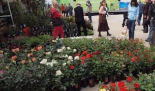 От шопска салата към английска ливада