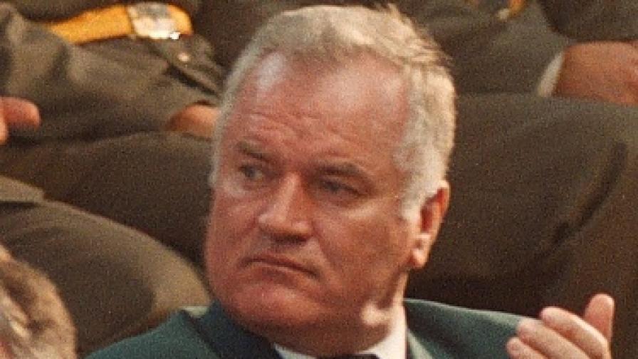 Младич чака процеса си в "хагския Хилтън"