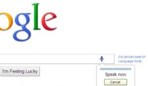 "Гугъл": Търсене с глас и снимки