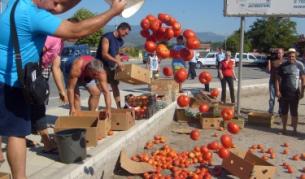 Доматите се посипаха по международния път Е79 по време на мирния протест днес