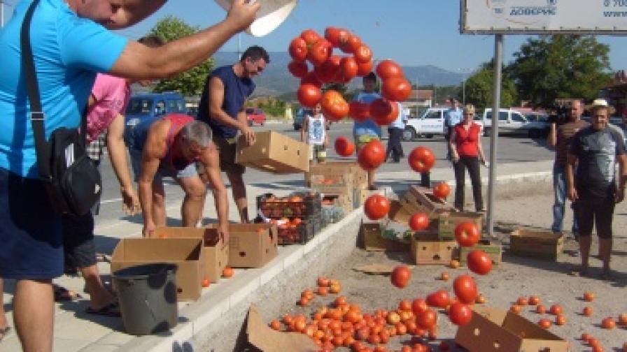 Зеленчукопроизводители: В София ядат боклуци, нашите вкусни домати гният