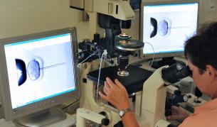 Ще стане ли законно да "родиш" след смъртта си?