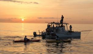 Световната надпревара за съкровищата на дълбините