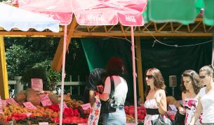 С 20% поскъпват доматите за седмица