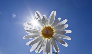 Възстановен древен слънчев календар откриват в парка на Разлог