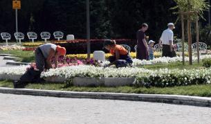 На 1 октомври си носете инструмент в парка