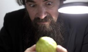 Опасно: Растенията и животните се смаляват - по-малко храна за хората