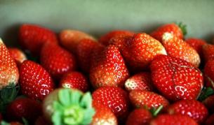 Ароматните "измамници" 