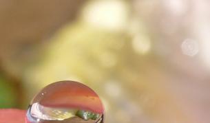 Сълза вместо убождане мери захарта