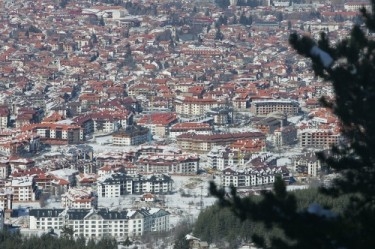 Арест на британец за убийство на куче в Банско