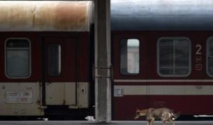 Днес не са пътували  201 от общо 261 пътнически влака