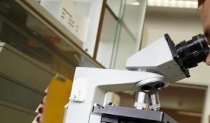 Наш учен доказва как могат да се правят пари от наука в България