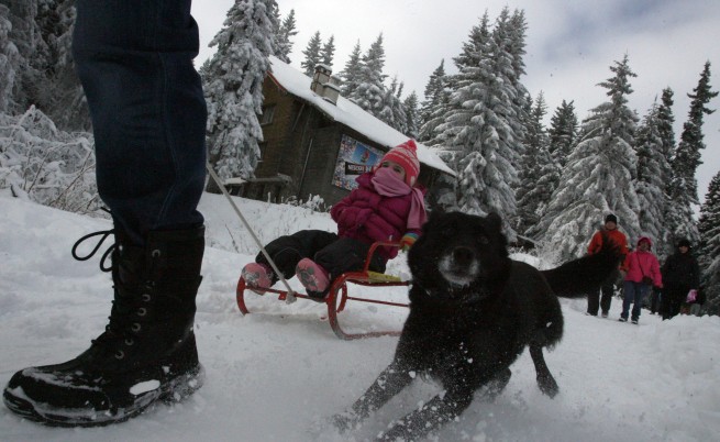 Ски любители откриха неофициално сезона на Витоша