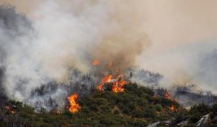 Доклад: Турци наистина са палели горите в Гърция