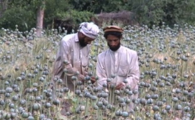 Опиумът съставя 9% от БВП на Афганистан