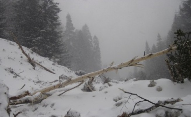 Североизточна България блокирана от снега