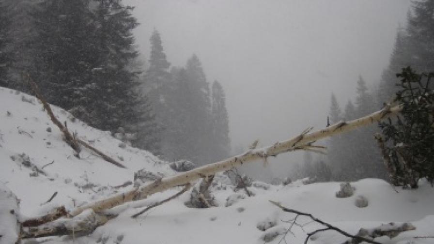 Североизточна България блокирана от снега