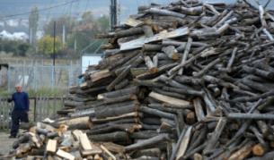 Найденов се отказа от продажбата на дървесина през борсата