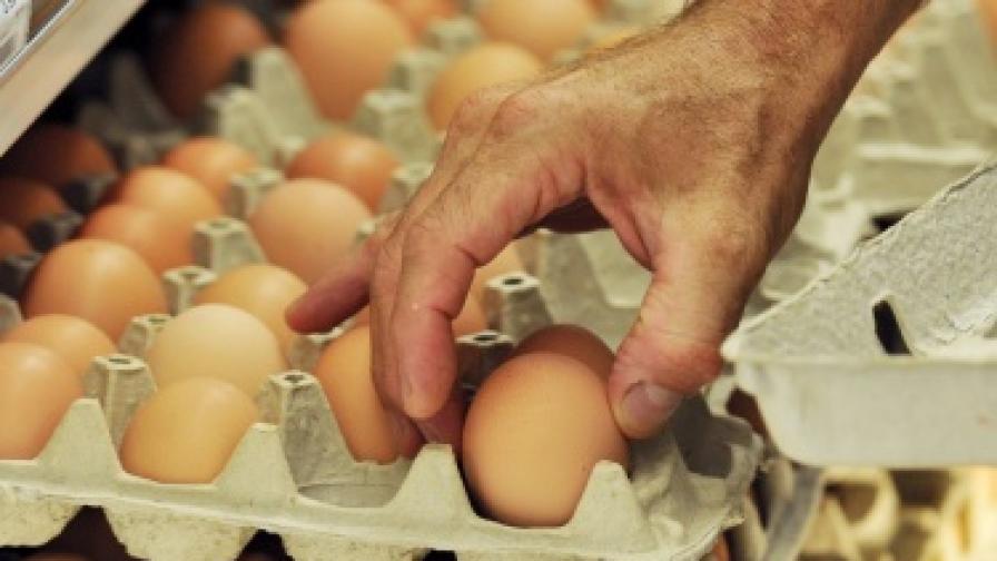 Производители: Яйцата са скъпи, защото кокошките са малко