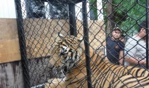 Пресцентър на МВР/БГНЕС