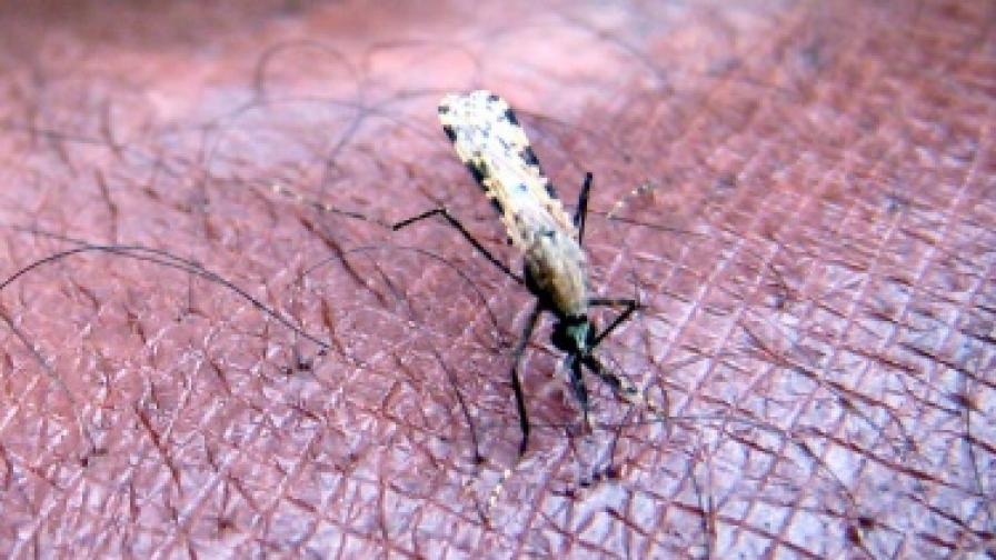 Маларията може да стане нелечима
