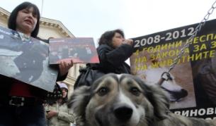 Преди да се разберат в Министерския съвет с управляващите, защитниците на кучета искаха оставка на министър Мирослав Найденов