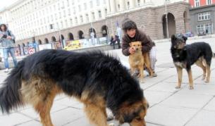 Хиляда и една глутници