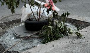 За пръв път дезинсекция срещу хлебарки в канализацията