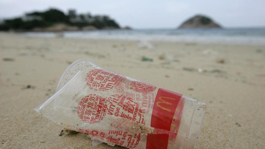 Насекомо колонизира пластмасата в Тихия океан